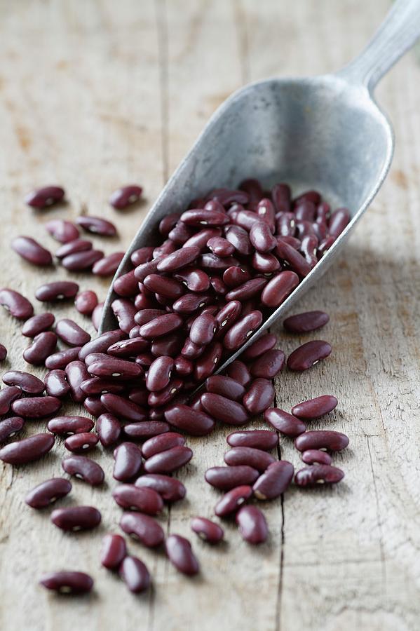 Red Kidney Beans Photograph by Gustoimages