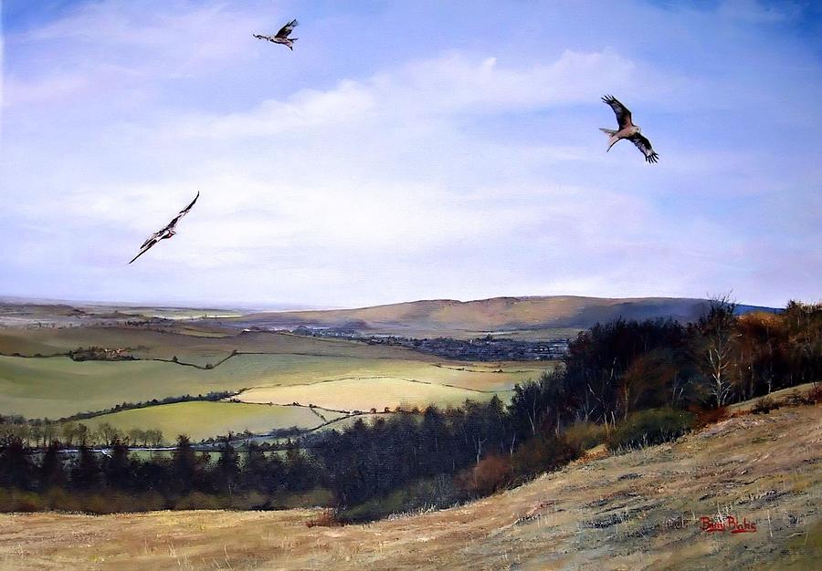 Red Kites at Coombe Hill Painting by Barry BLAKE