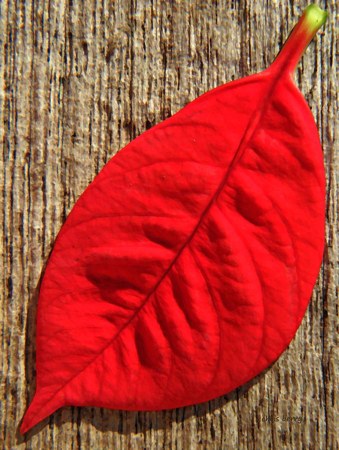 Red Leaf Photograph by Chris Berry