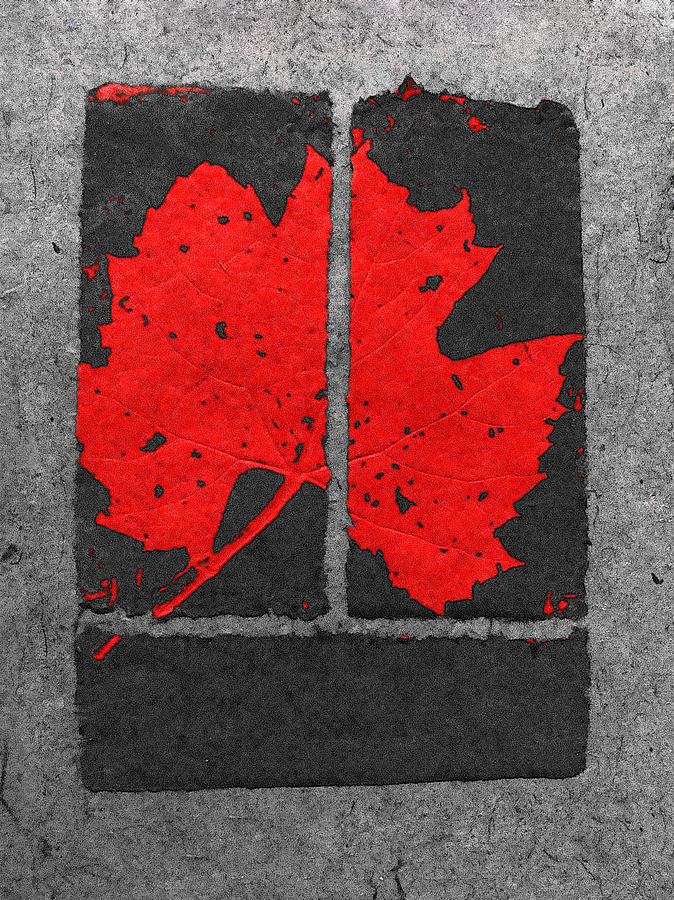 Red Leaf Digital Art by David Blank