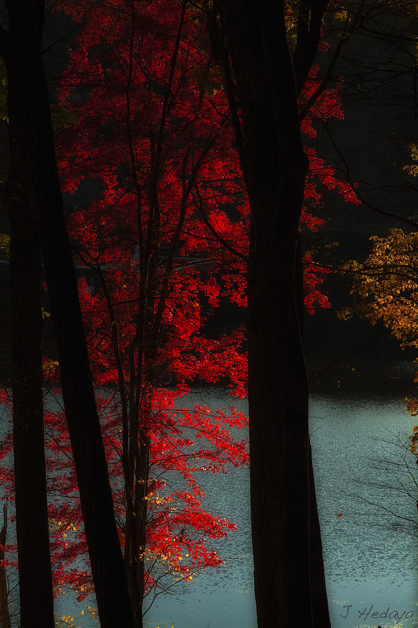 Fall Photograph - Red Leaf Lake by Joseph Hedaya