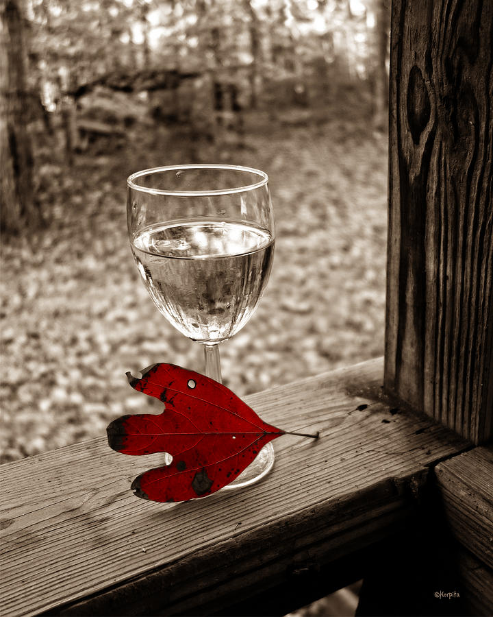 Red Leaf White Wine Photograph by Rebecca Korpita