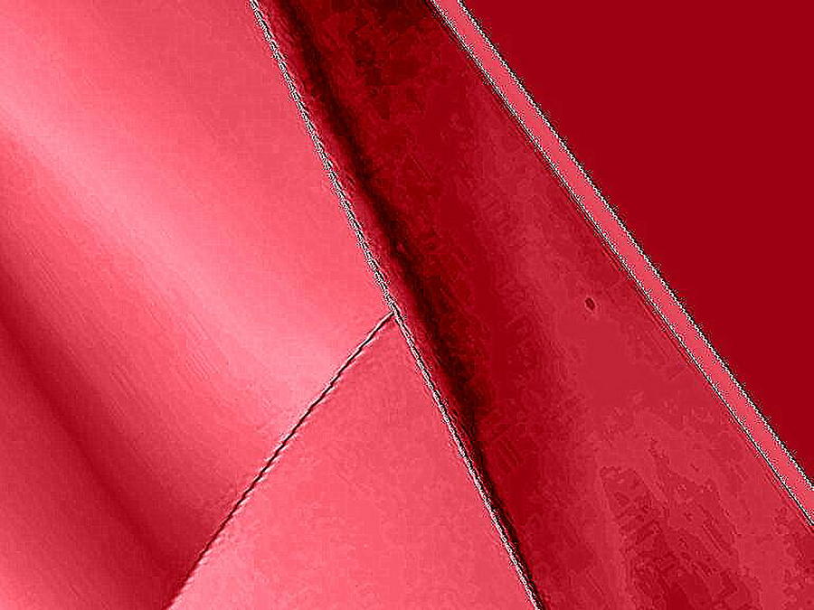 Red Leather Digital Art by Mary Russell