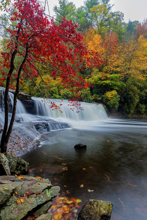 Red Leaves in Dupoint Park Hooker Falls Photograph by Andres Leon