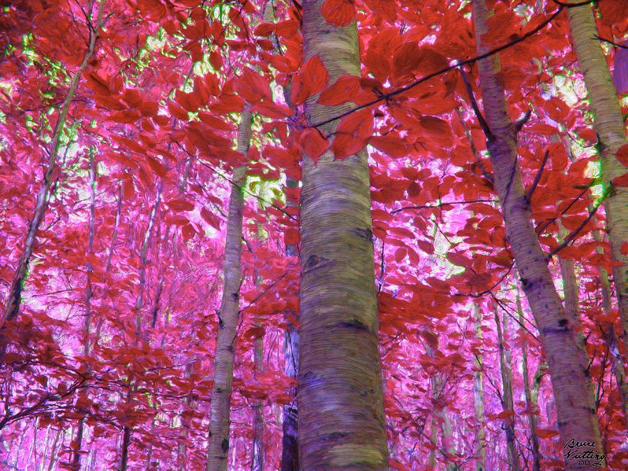 Red Leaves in the Forest Painting by Bruce Nutting