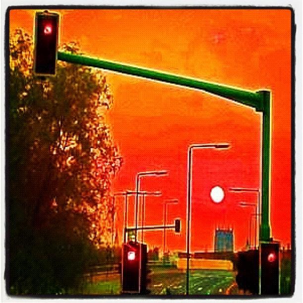 Nature Photograph - Red Lights 2 by Urbane Alien