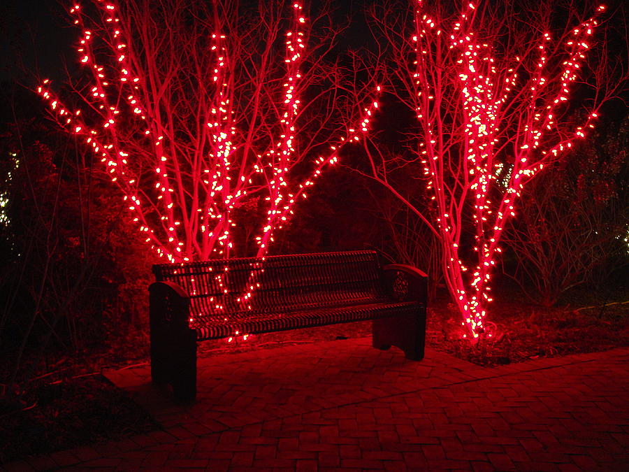 Red Lights and Bench Photograph by Rodney Lee Williams