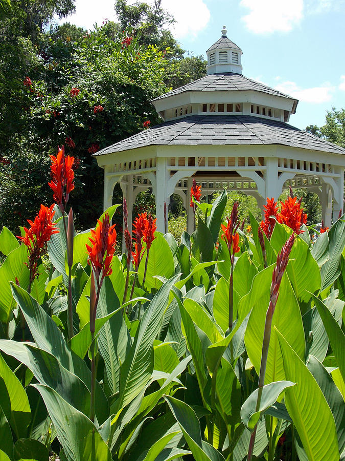 Red Lily Gazebo Garden Photograph by Sheri McLeroy