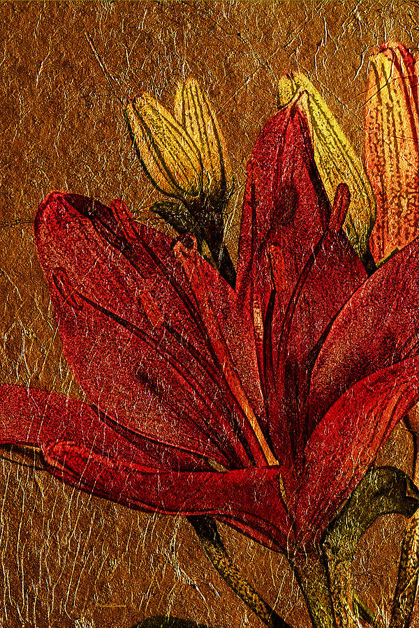 Red Lily Gold Leaf Photograph by Phyllis Denton