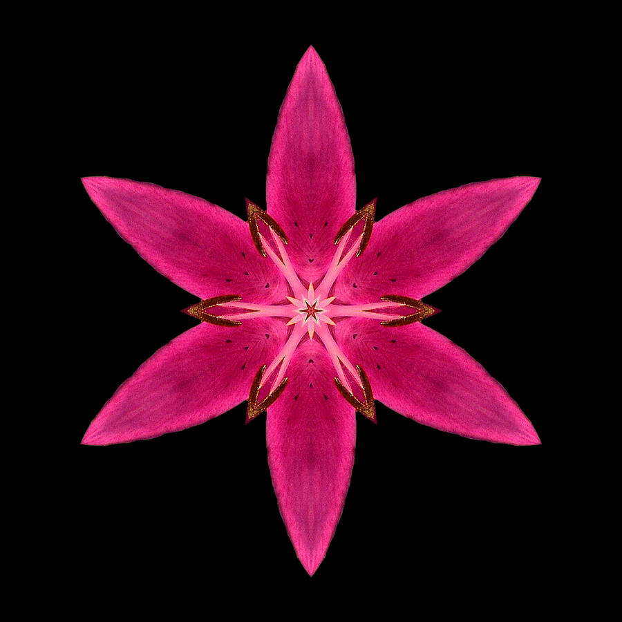 Red Lily I Flower Mandala Photograph by David J Bookbinder