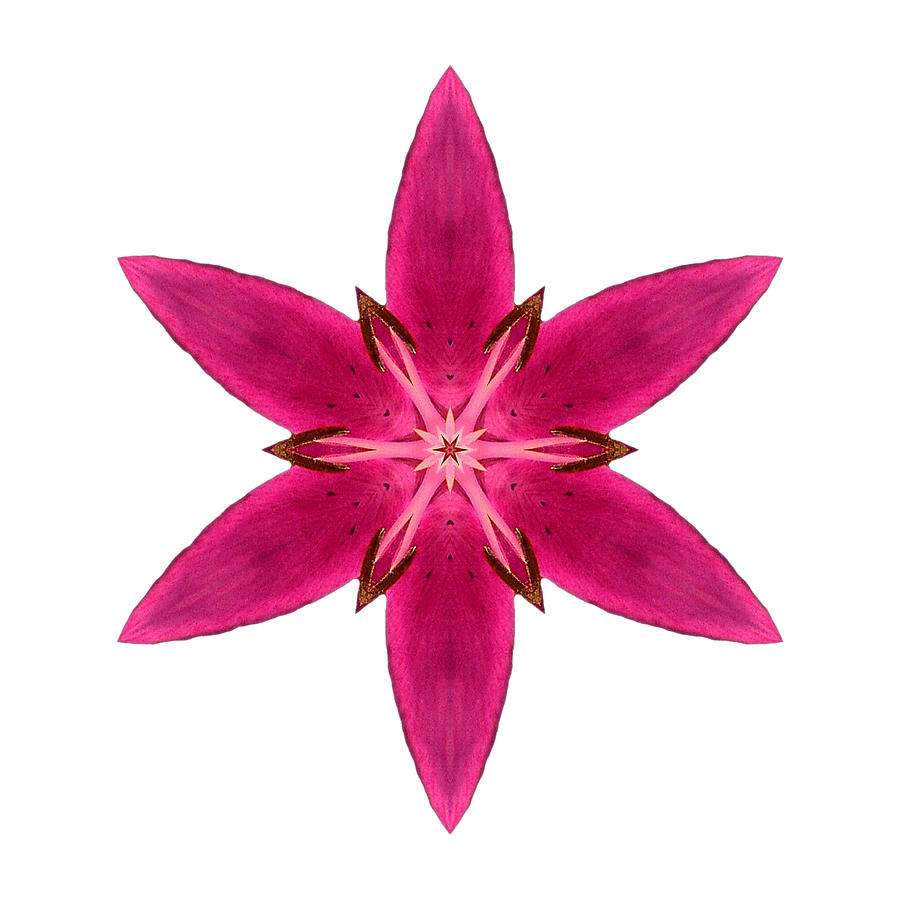 Red Lily I Flower Mandala White Photograph by David J Bookbinder