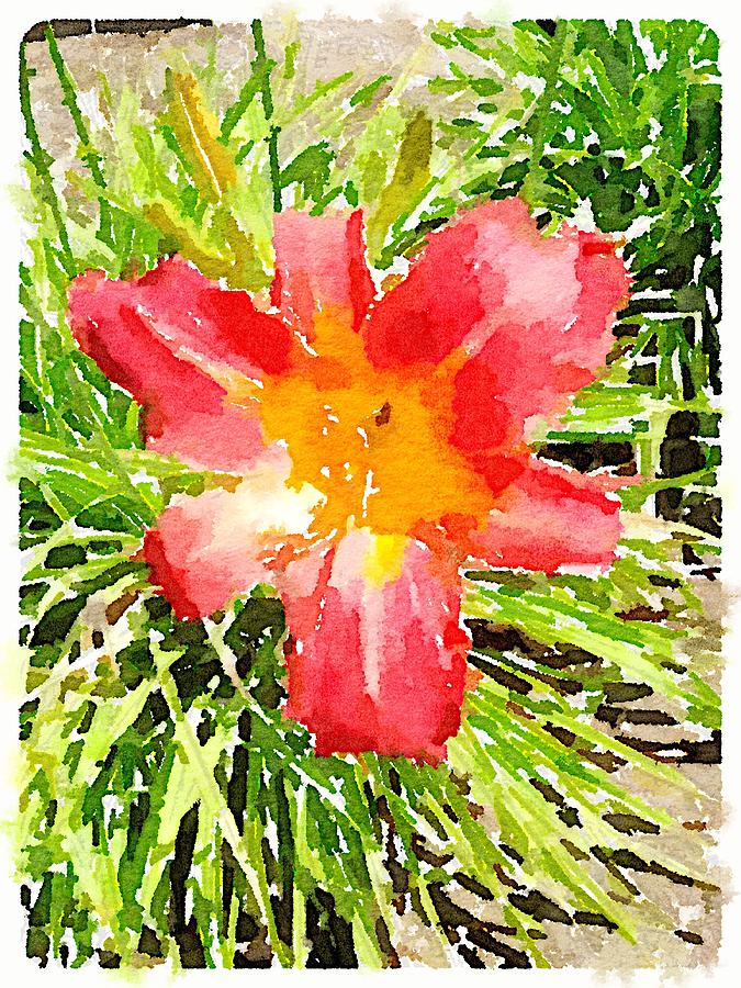 Red Lily Digital Art by Shannon Grissom