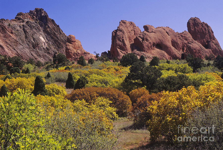 Red Lyons Sandstone Formations & Autumn Photograph by Ellen Thane