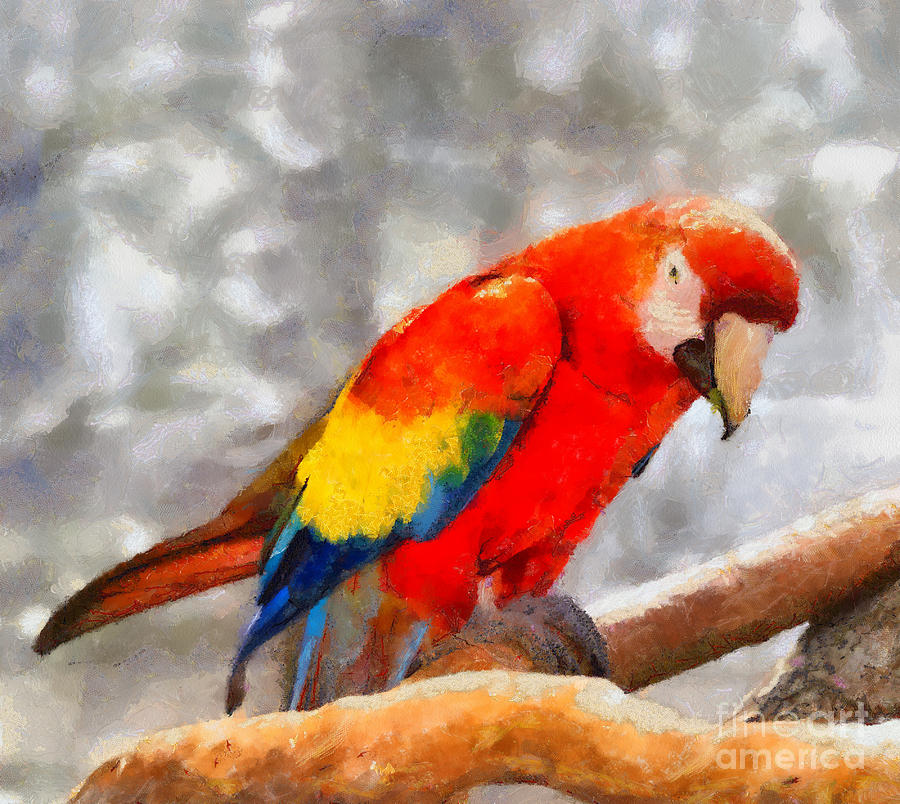 Red macaw parrot Photograph by Les Palenik