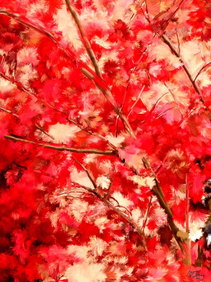 Red Maple Tree Painting by Bruce Nutting