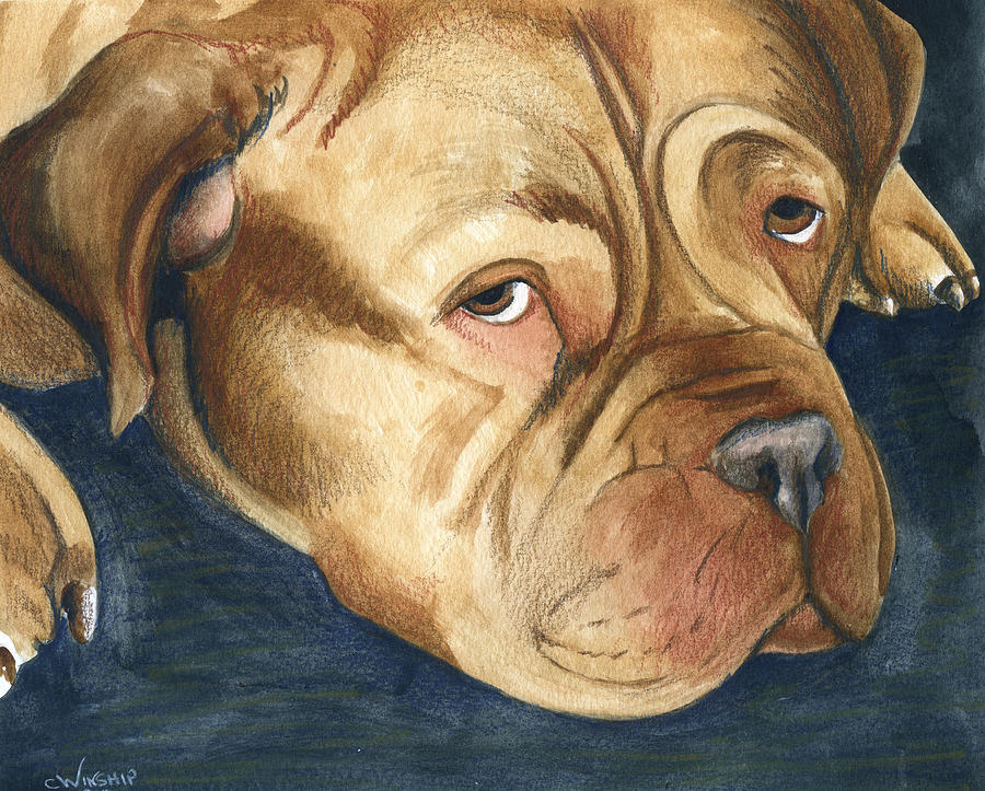 Dog Painting - Dogue de Bordeaux by Christine Winship