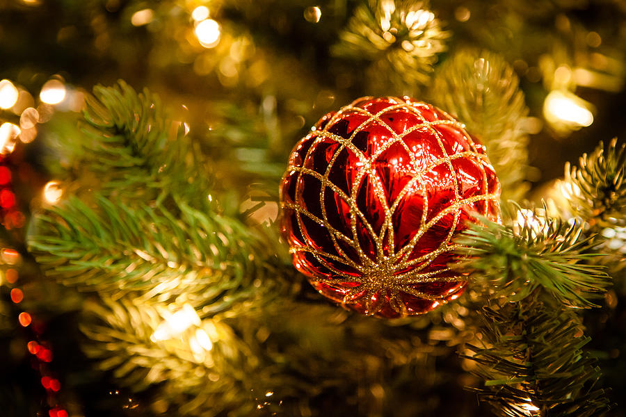 Red and Gold Ornament Photograph by Melinda Ledsome