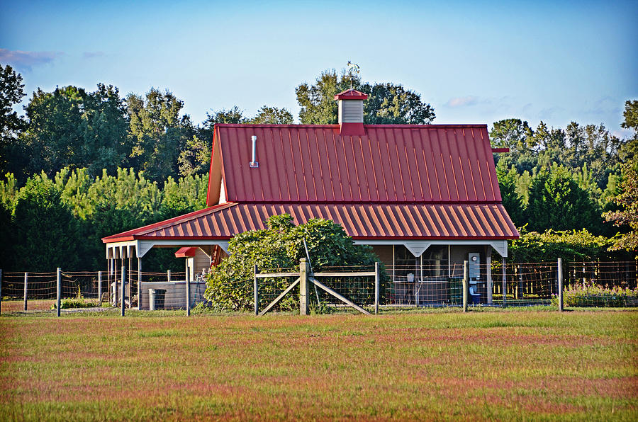 Red Metal Roof Photograph by Linda Brown