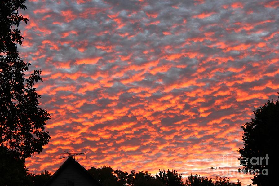 Red morning clouds Photograph by Yumi Johnson