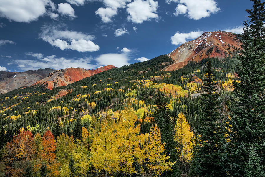 Red Mountain And Autumn, Aspen Trees Photograph by Adam Jones - Fine ...