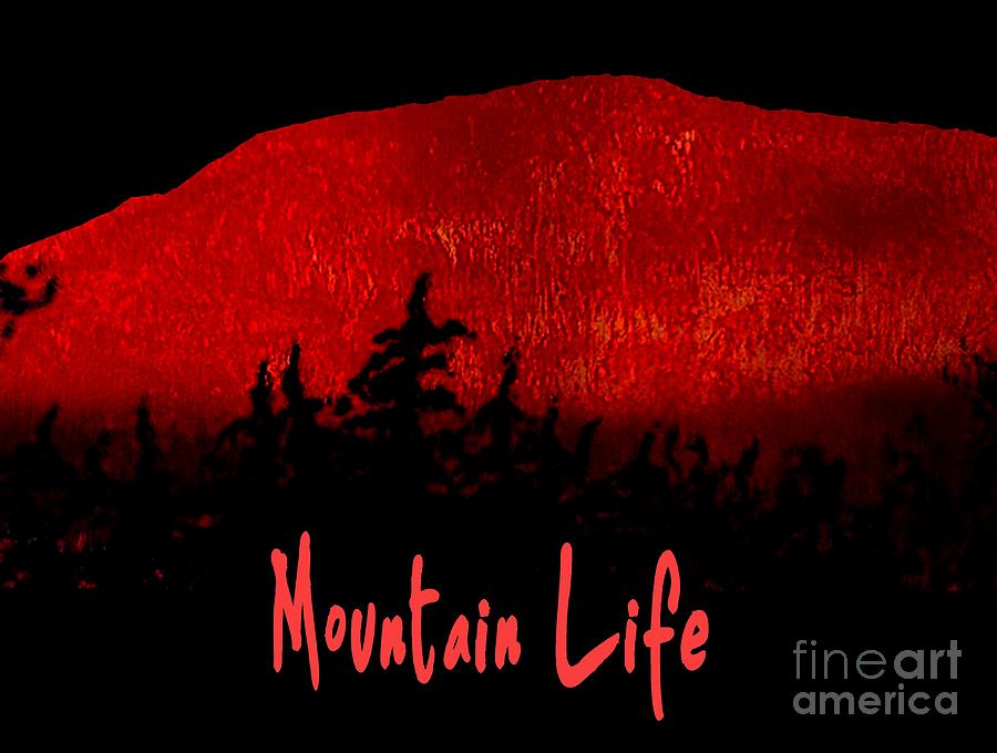 Red Mountain Night Mt. Life Painting by James and Donna Daugherty
