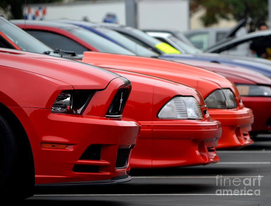 Red Mustangs Photograph by Dean Ferreira