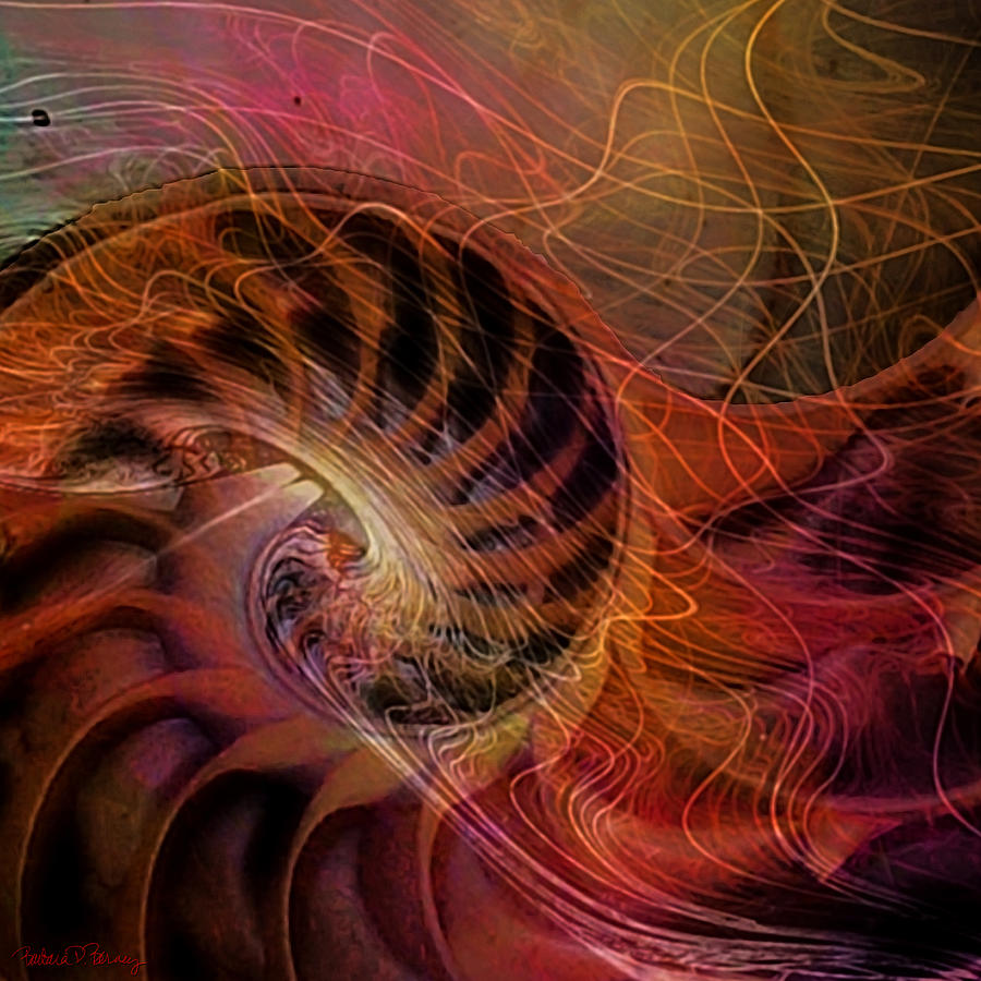 Red Nautilus Digital Art by Barbara Berney