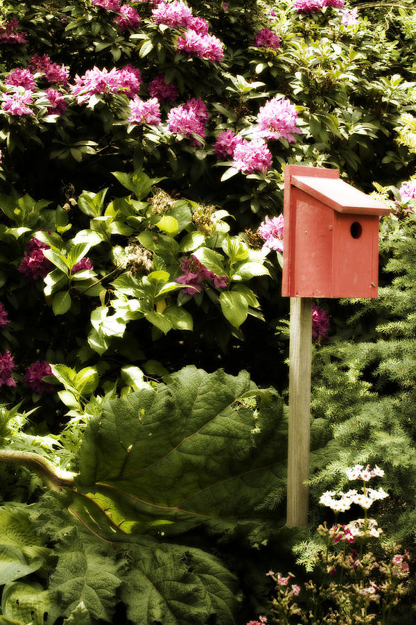 Red Nesting Box Photograph by Bonnie Bruno