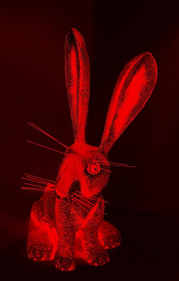 Red New Mexico Rabbit Photograph by Rob Hans