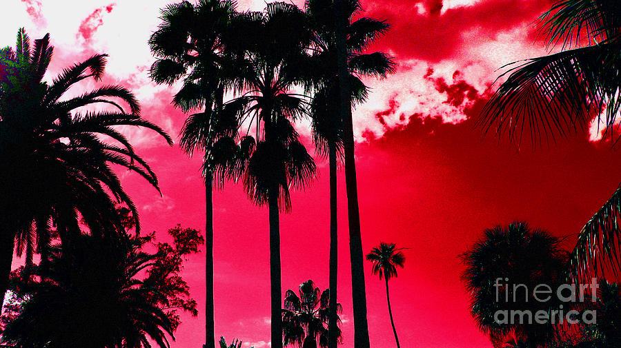 Red Night Palm Palace Photograph by Keri West