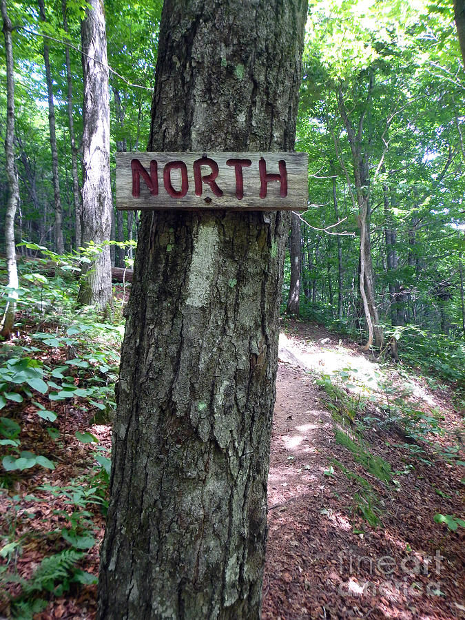 Red North Sign Photograph by Glenn Gordon