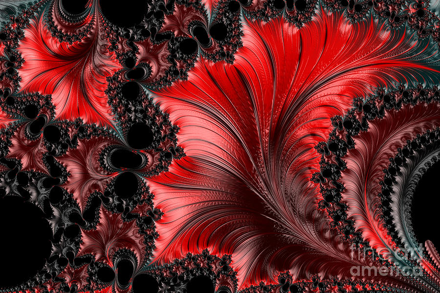 Abstract Digital Art - Red on Black Macro - A Fractal Abstract by Ann Garrett