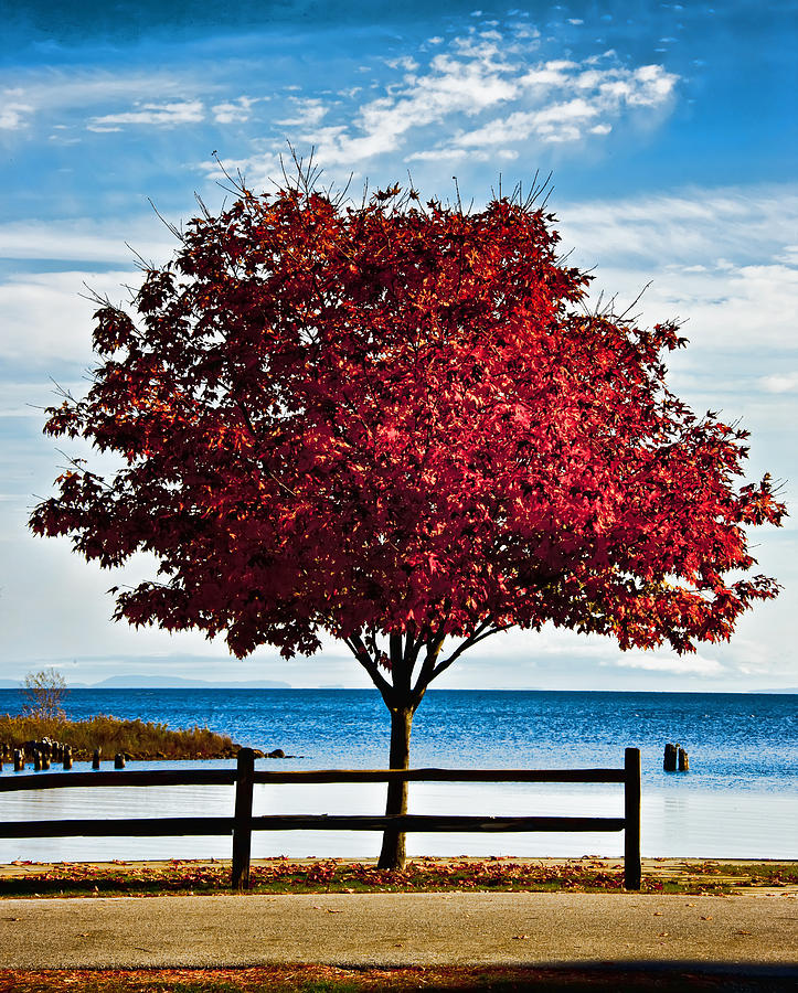 Red on Whitefish Bay Michigan Photograph by Evie Carrier