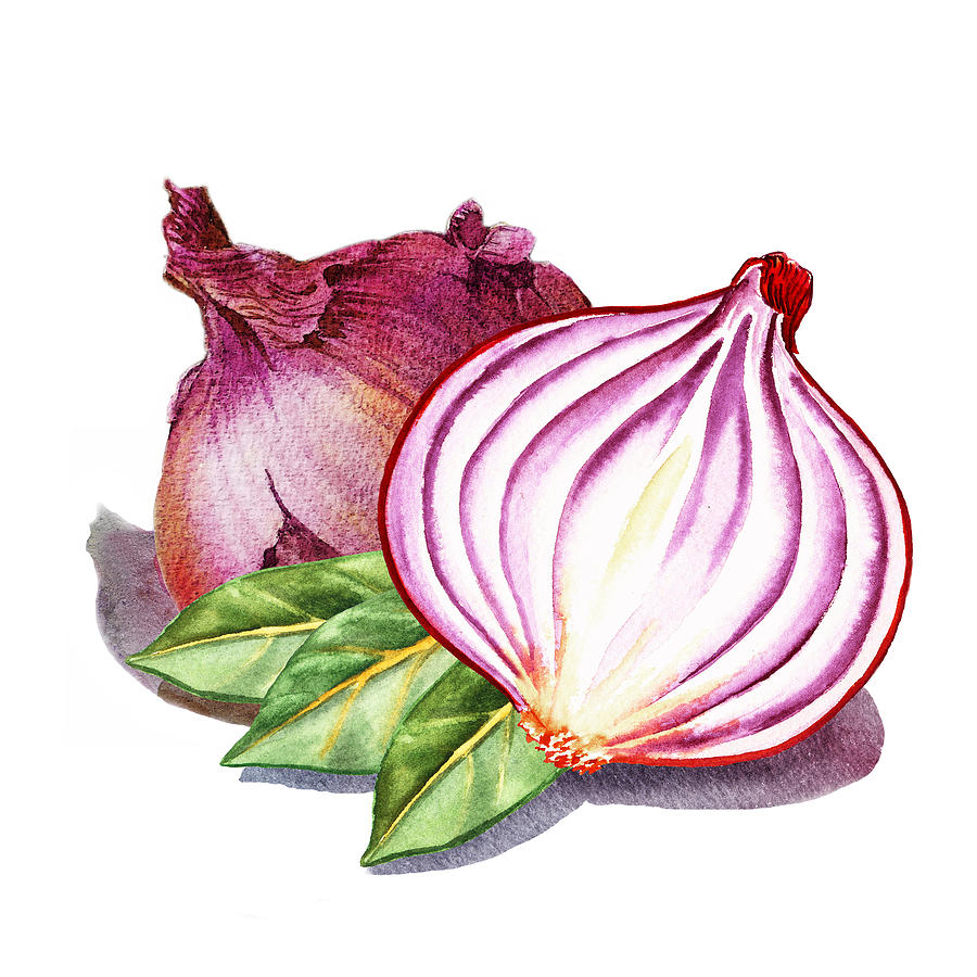 Onion Painting - Red Onion And Bay Leaves by Irina Sztukowski