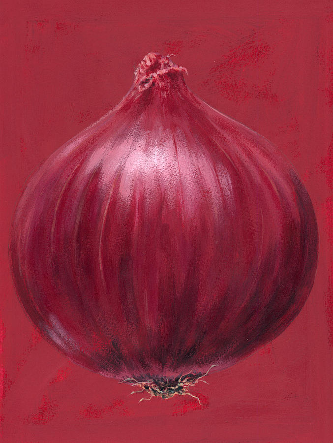 Onion Painting - Red Onion by MGL Meiklejohn Graphics Licensing