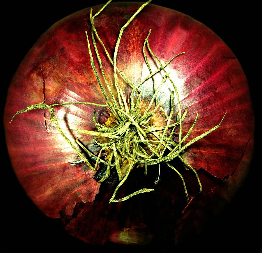 Red Onion Photograph by Diana Angstadt