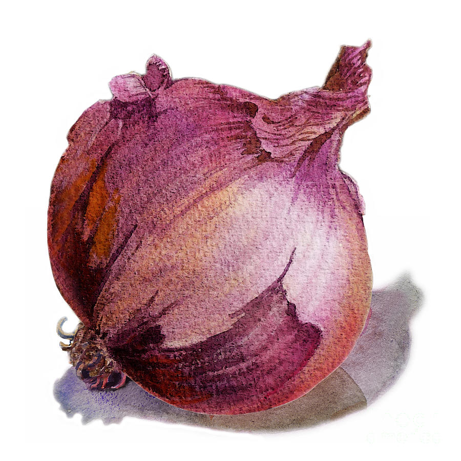 Red Onion Painting by Irina Sztukowski
