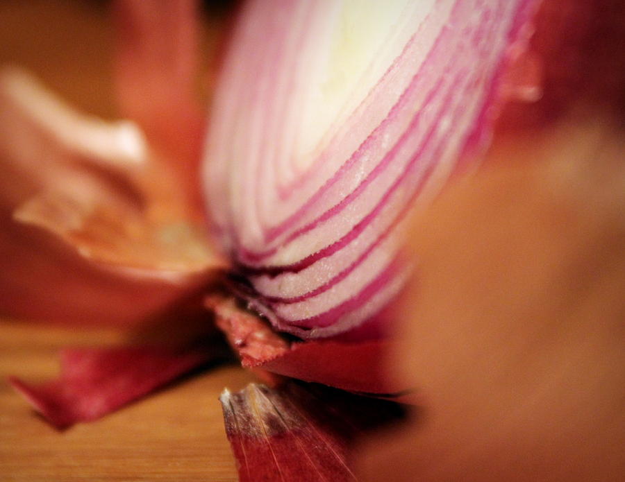 Red Onion Photograph by Joseph Skompski