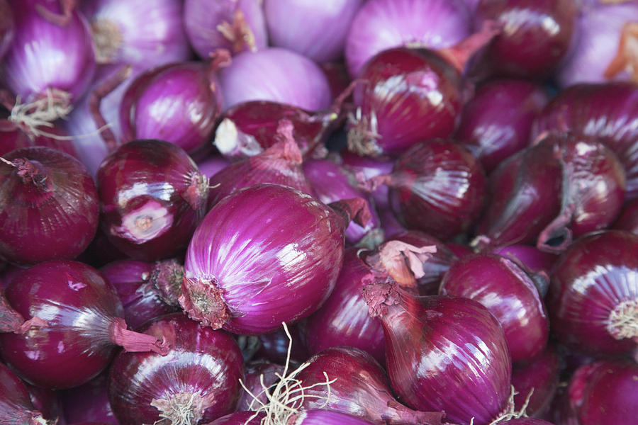 Onion Photograph - Red Onions For Sale At The Open Air by Mallorie Ostrowitz