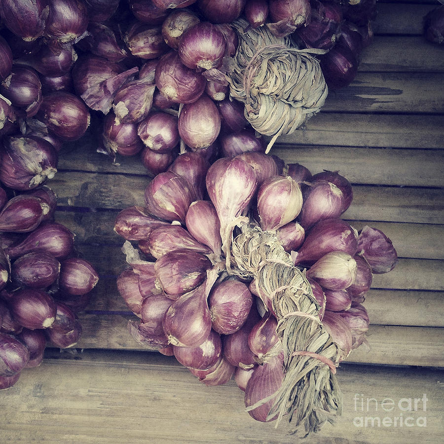 Red Onions Photograph by Ivy Ho