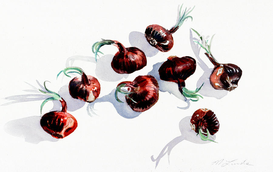 Red Onions Painting by Mark Lunde