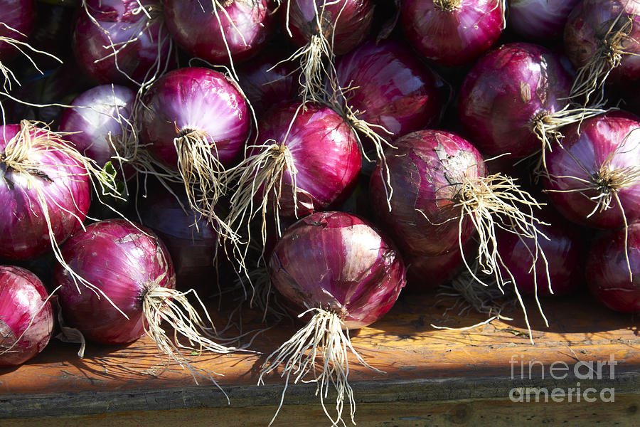 Red Onions Photograph by Tony Cordoza