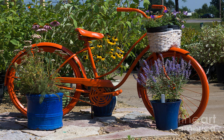 Red Orange Flower Basket Bike Photograph by Tina Hailey