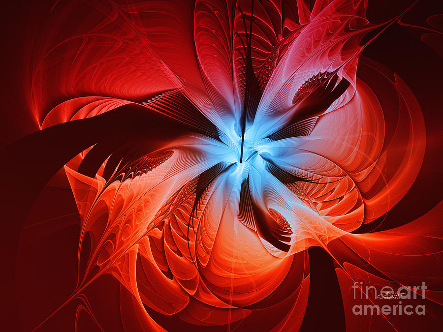 Red Orchid Digital Art by Jutta Maria Pusl