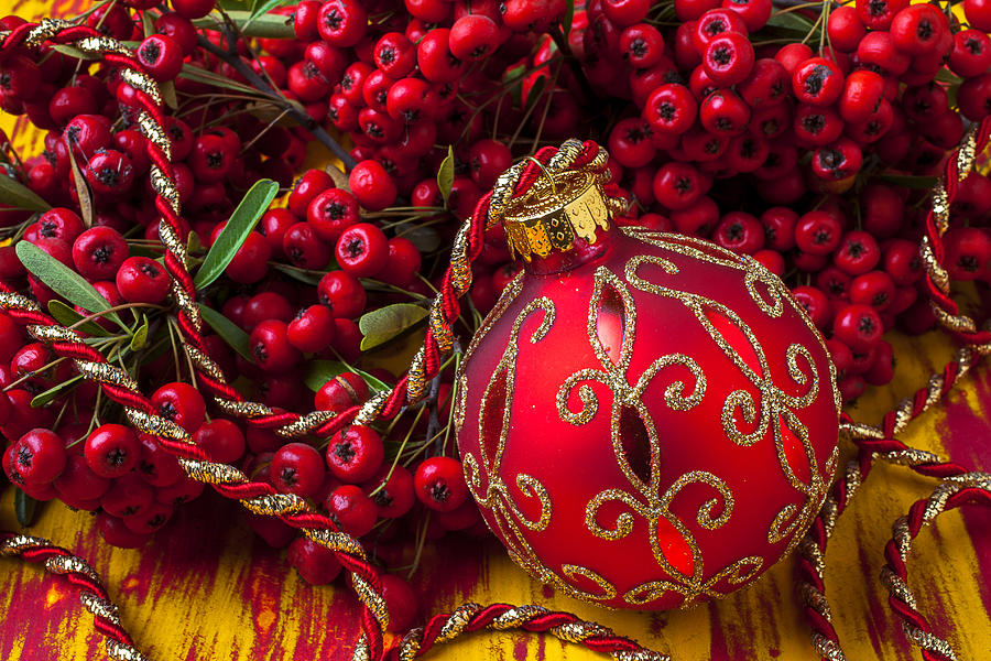 Winter Photograph - Red ornament and berries by Garry Gay