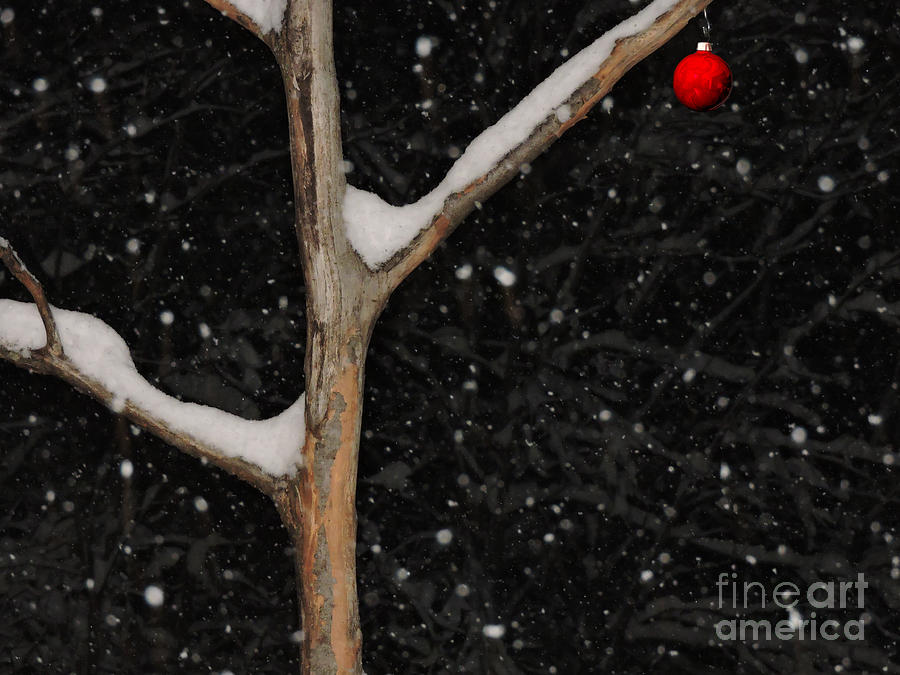 Christmas Photograph - Red Ornament by Mim White