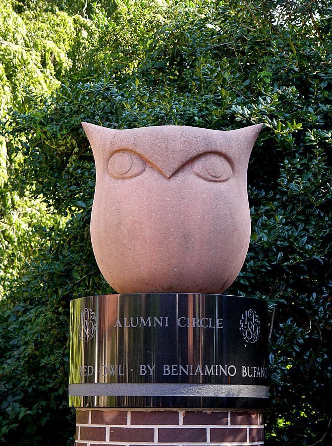 Red Owl at Temple Photograph by Richard Reeve