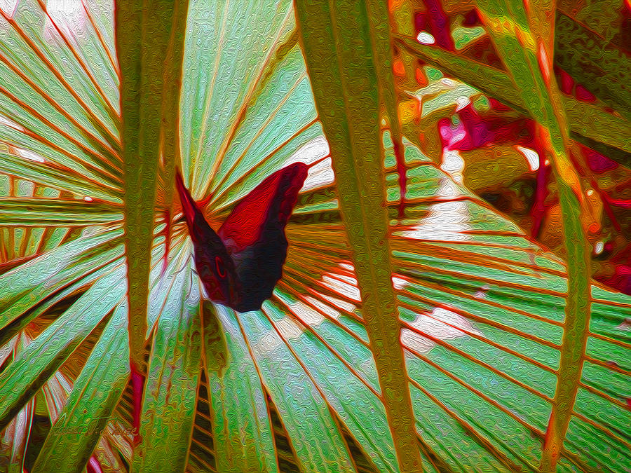 Red Owl Butterfly Photograph by Robert J Sadler