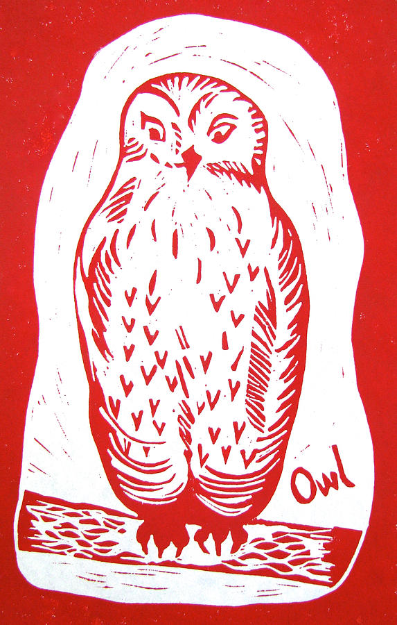 Red Owl Drawing by Linda Williams