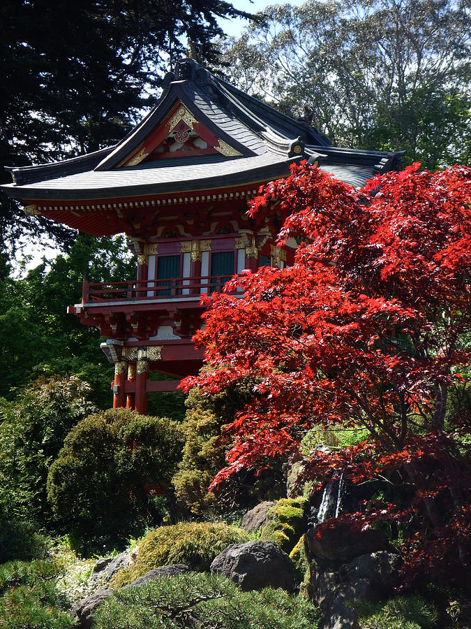 Red Pagoda Photograph by Richard Reeve